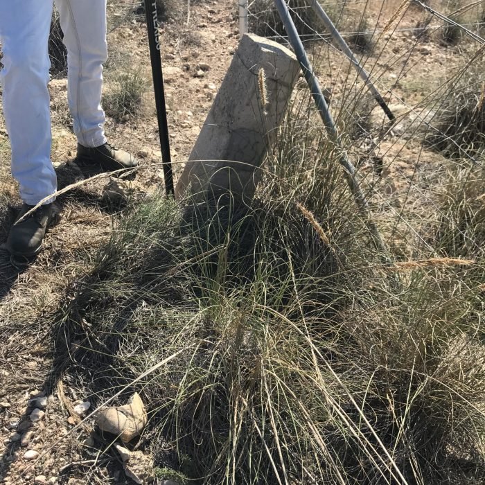 20171010_091948699_iOS