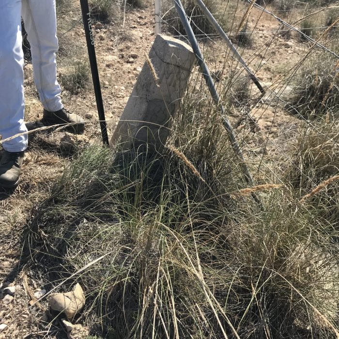 20171010_091957173_iOS